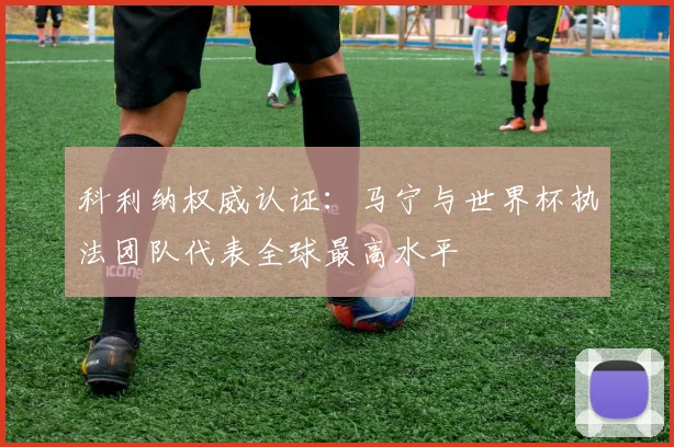 科利纳权威认证：马宁与世界杯执法团队代表全球最高水平